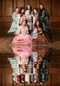 la troupe du ROI SOLEIL